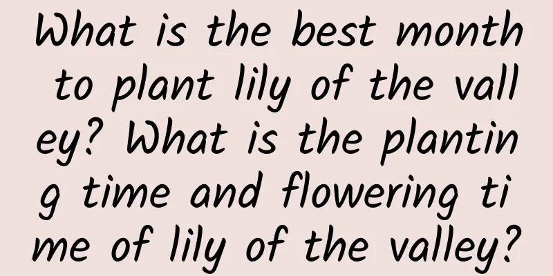 What is the best month to plant lily of the valley? What is the planting time and flowering time of lily of the valley?