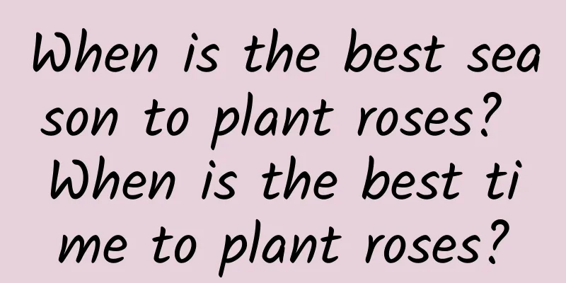 When is the best season to plant roses? When is the best time to plant roses?