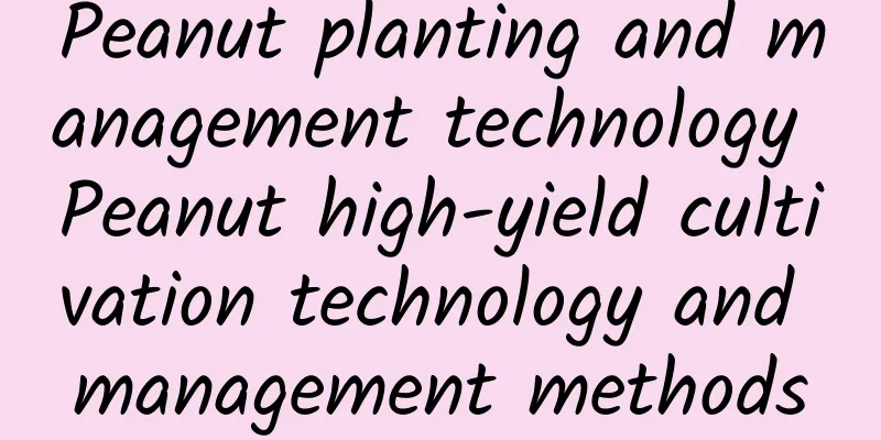Peanut planting and management technology Peanut high-yield cultivation technology and management methods