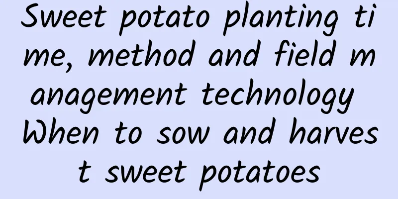 Sweet potato planting time, method and field management technology When to sow and harvest sweet potatoes