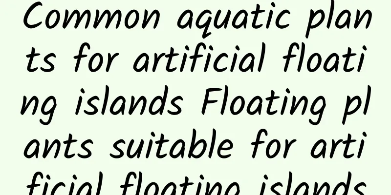 Common aquatic plants for artificial floating islands Floating plants suitable for artificial floating islands