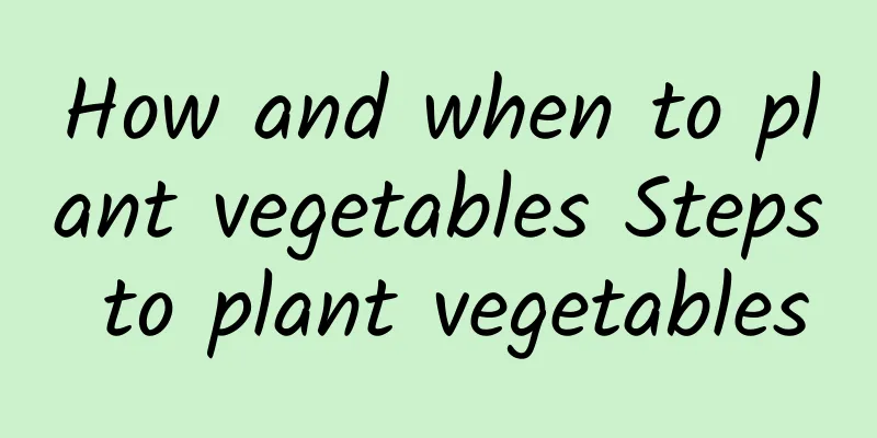 How and when to plant vegetables Steps to plant vegetables