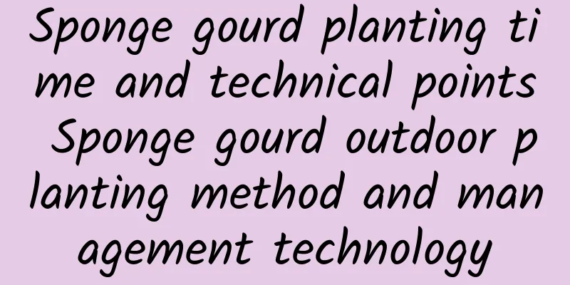 Sponge gourd planting time and technical points Sponge gourd outdoor planting method and management technology