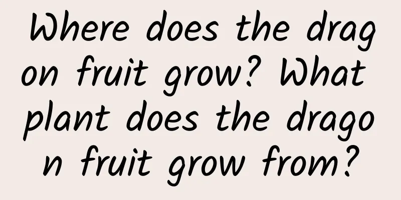 Where does the dragon fruit grow? What plant does the dragon fruit grow from?
