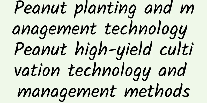 Peanut planting and management technology Peanut high-yield cultivation technology and management methods