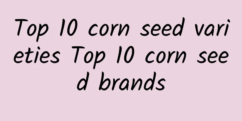 Top 10 corn seed varieties Top 10 corn seed brands