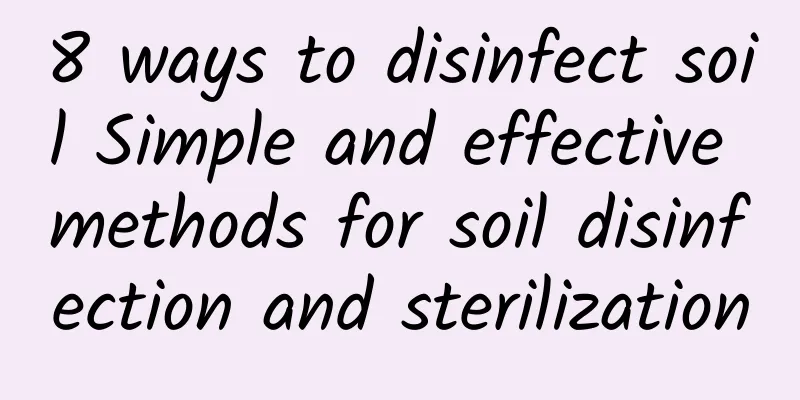 8 ways to disinfect soil Simple and effective methods for soil disinfection and sterilization