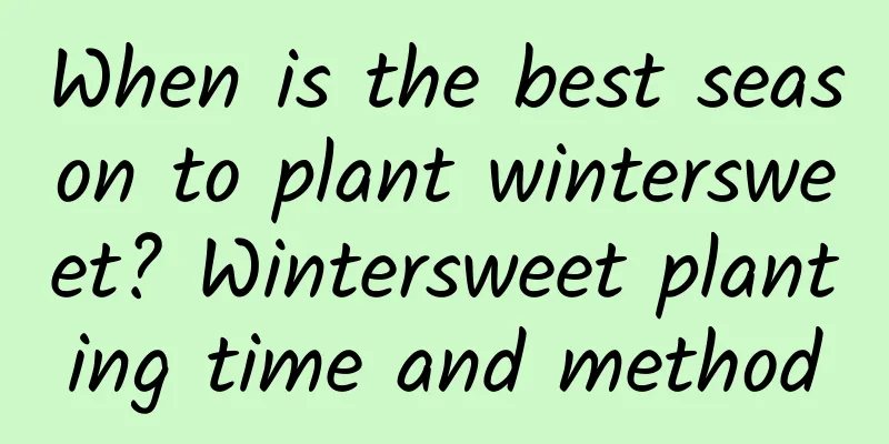 When is the best season to plant wintersweet? Wintersweet planting time and method