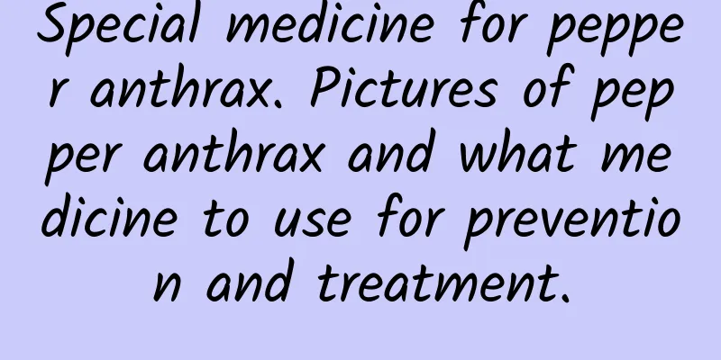 Special medicine for pepper anthrax. Pictures of pepper anthrax and what medicine to use for prevention and treatment.