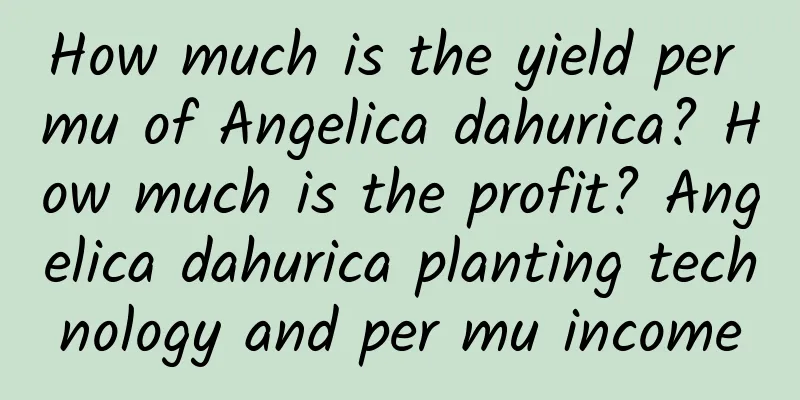 How much is the yield per mu of Angelica dahurica? How much is the profit? Angelica dahurica planting technology and per mu income