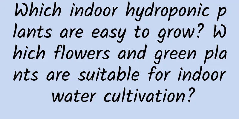 Which indoor hydroponic plants are easy to grow? Which flowers and green plants are suitable for indoor water cultivation?