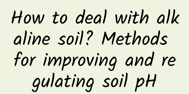 How to deal with alkaline soil? Methods for improving and regulating soil pH