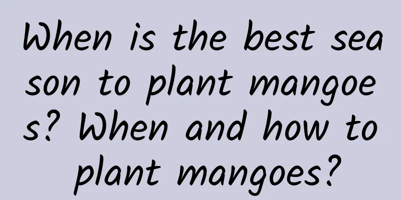 When is the best season to plant mangoes? When and how to plant mangoes?