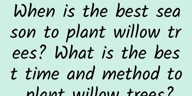 When is the best season to plant willow trees? What is the best time and method to plant willow trees?