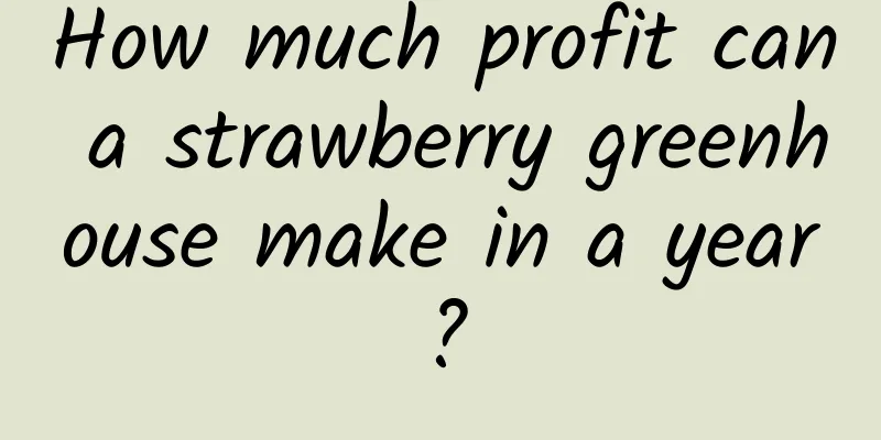 How much profit can a strawberry greenhouse make in a year?