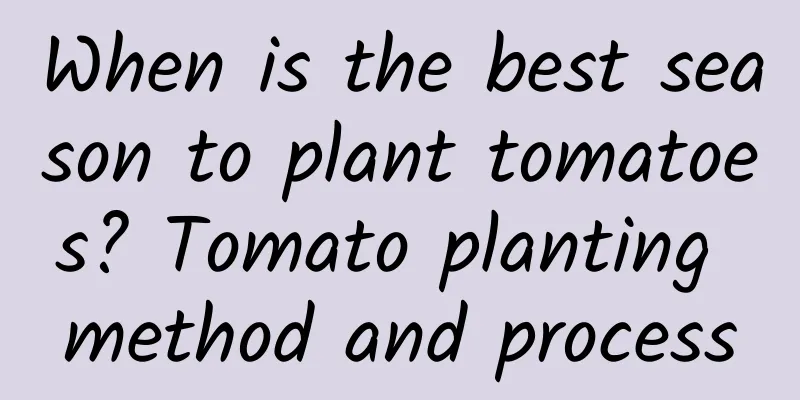 When is the best season to plant tomatoes? Tomato planting method and process