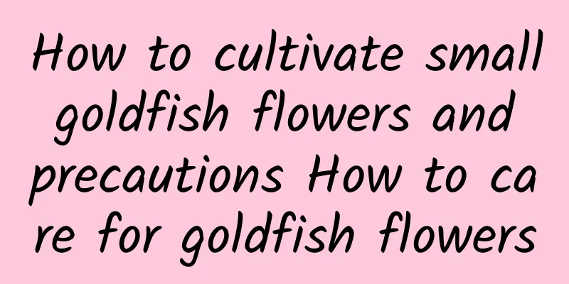 How to cultivate small goldfish flowers and precautions How to care for goldfish flowers