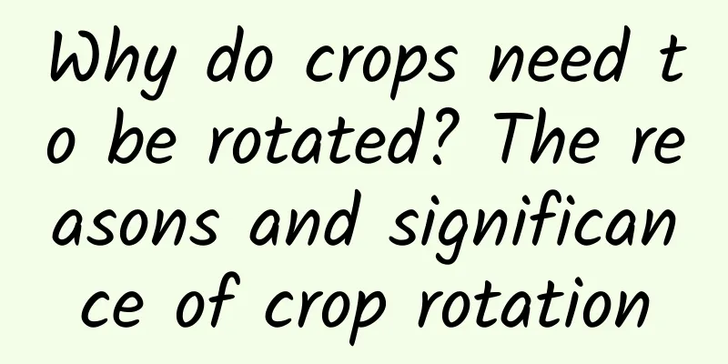 Why do crops need to be rotated? The reasons and significance of crop rotation