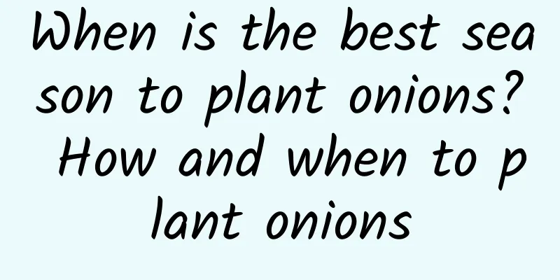 When is the best season to plant onions? How and when to plant onions