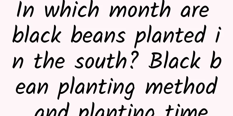 In which month are black beans planted in the south? Black bean planting method and planting time