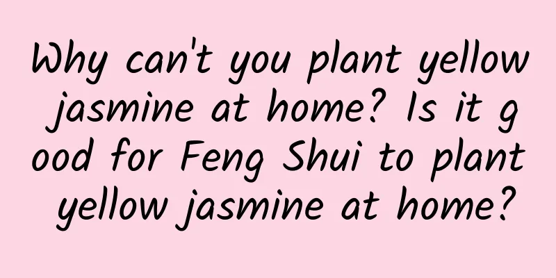 Why can't you plant yellow jasmine at home? Is it good for Feng Shui to plant yellow jasmine at home?
