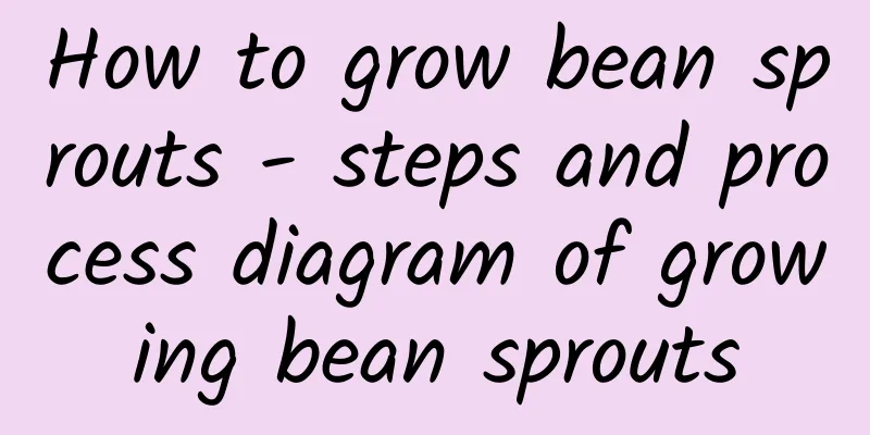 How to grow bean sprouts - steps and process diagram of growing bean sprouts