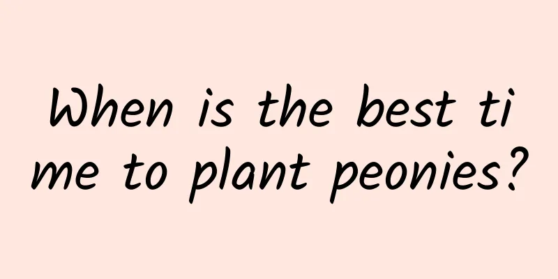 When is the best time to plant peonies?