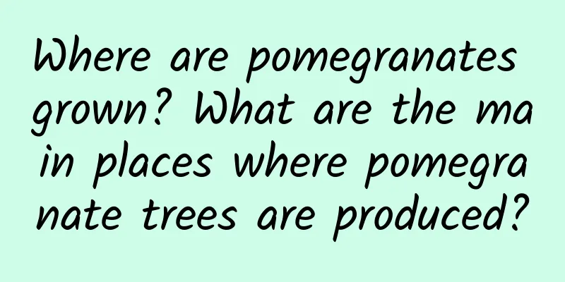 Where are pomegranates grown? What are the main places where pomegranate trees are produced?