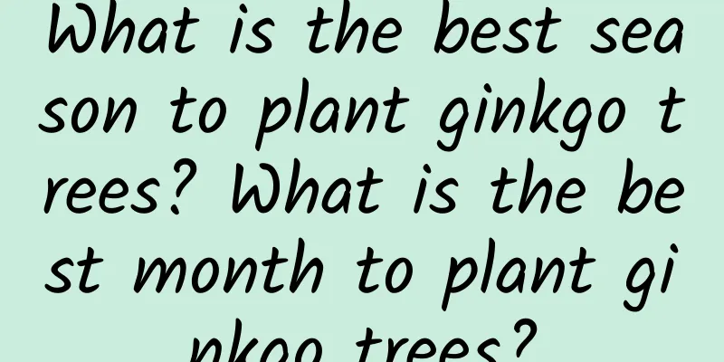 What is the best season to plant ginkgo trees? What is the best month to plant ginkgo trees?