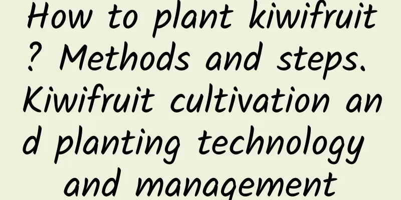 How to plant kiwifruit? Methods and steps. Kiwifruit cultivation and planting technology and management
