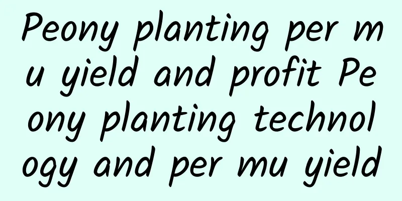 Peony planting per mu yield and profit Peony planting technology and per mu yield