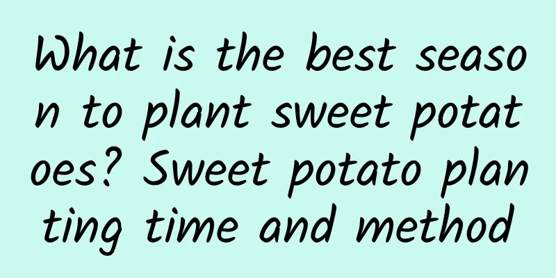 What is the best season to plant sweet potatoes? Sweet potato planting time and method