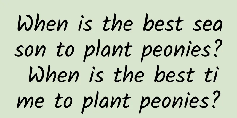 When is the best season to plant peonies? When is the best time to plant peonies?