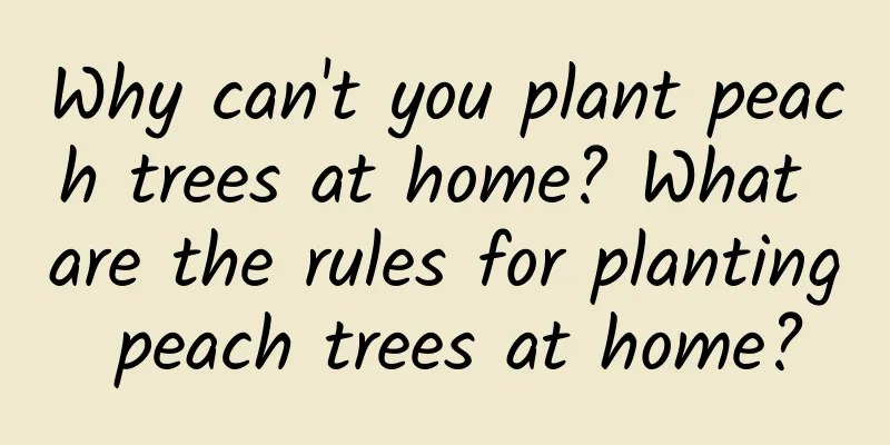 Why can't you plant peach trees at home? What are the rules for planting peach trees at home?