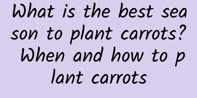 What is the best season to plant carrots? When and how to plant carrots