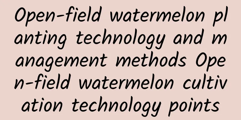 Open-field watermelon planting technology and management methods Open-field watermelon cultivation technology points
