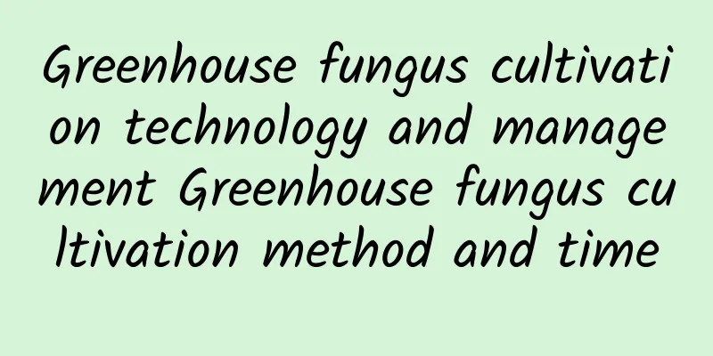 Greenhouse fungus cultivation technology and management Greenhouse fungus cultivation method and time