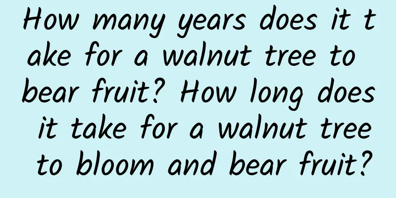 How many years does it take for a walnut tree to bear fruit? How long does it take for a walnut tree to bloom and bear fruit?