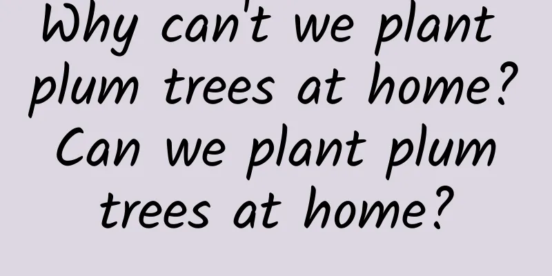 Why can't we plant plum trees at home? Can we plant plum trees at home?