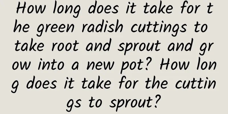 How long does it take for the green radish cuttings to take root and sprout and grow into a new pot? How long does it take for the cuttings to sprout?