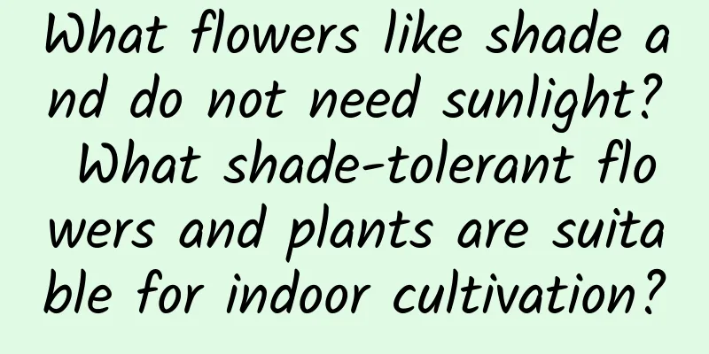 What flowers like shade and do not need sunlight? What shade-tolerant flowers and plants are suitable for indoor cultivation?