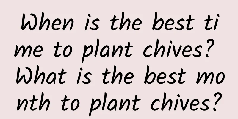 When is the best time to plant chives? What is the best month to plant chives?