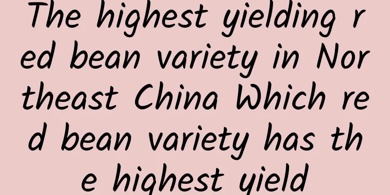 The highest yielding red bean variety in Northeast China Which red bean variety has the highest yield