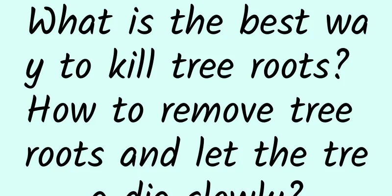 What is the best way to kill tree roots? How to remove tree roots and let the tree die slowly?