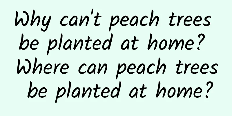 Why can't peach trees be planted at home? Where can peach trees be planted at home?