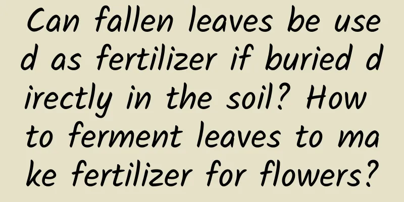 Can fallen leaves be used as fertilizer if buried directly in the soil? How to ferment leaves to make fertilizer for flowers?