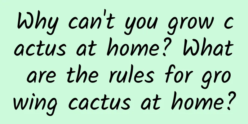 Why can't you grow cactus at home? What are the rules for growing cactus at home?
