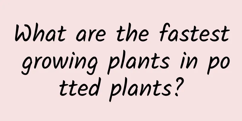 What are the fastest growing plants in potted plants?