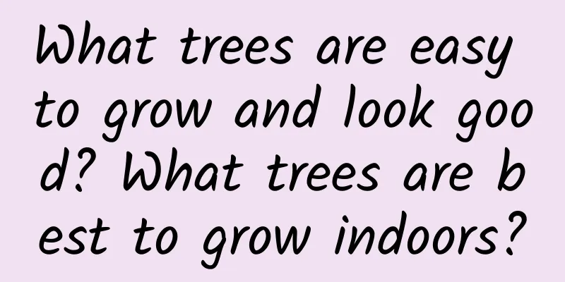 What trees are easy to grow and look good? What trees are best to grow indoors?