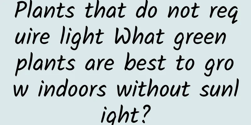 Plants that do not require light What green plants are best to grow indoors without sunlight?